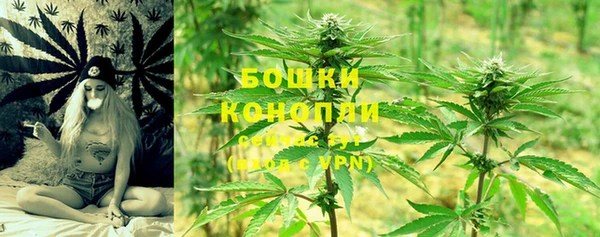 эйфоретик Белокуриха