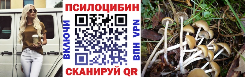 Псилоцибиновые грибы ЛСД  Кунгур 